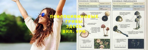 спайс Белоозёрский