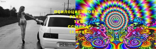спиды Белокуриха