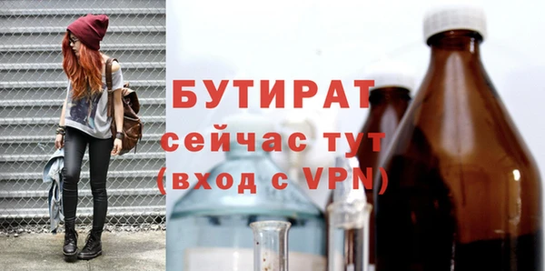 ГАЛЛЮЦИНОГЕННЫЕ ГРИБЫ Тайга