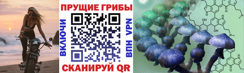 МЕГА онион  Очёр  Псилоцибиновые грибы прущие грибы 
